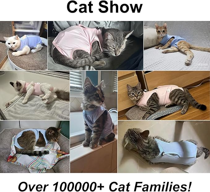 Cat Recovery Suit, Surgical Recovery Clothes for Abdominal Wound or Skin Disease, Cats Onesie After Surgery and Spay, E-Collar Alternative Pajama Suit (Pink, Large)
