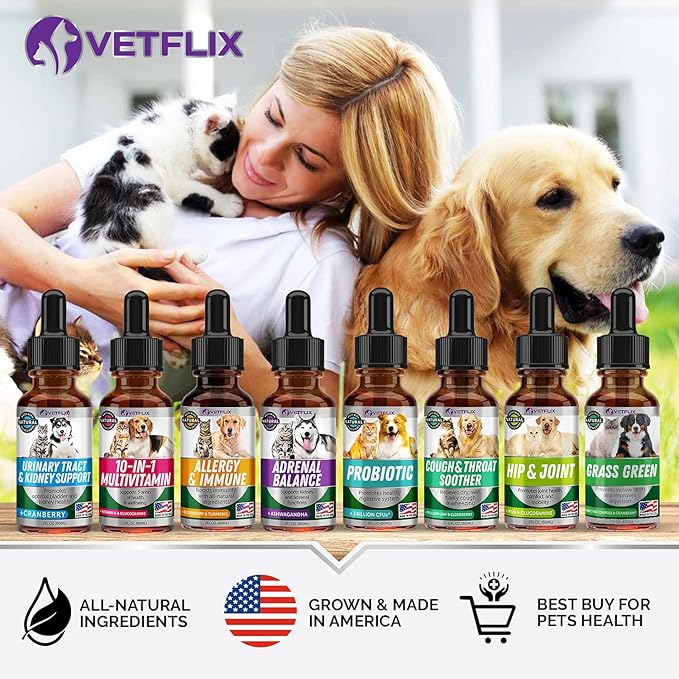 Pet Vitamins 10 in 1 - Made in USA - Glucosamine for Dogs & Cats - Dog Supplement for Pet Joint Health - Natural Cat, Dog Multivitamin - All Ages & Breeds - Folic Acid for Cats & Dogs Immune - 2 Fl Oz