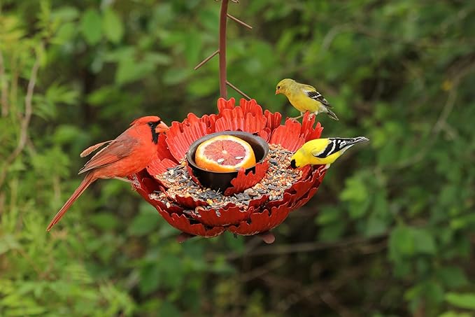 Desert Steel Coral Sunset Peony Hanging Feeder - (Orange - 9”W x 11.5”H) - Loose Seed Metal Birdfeeder