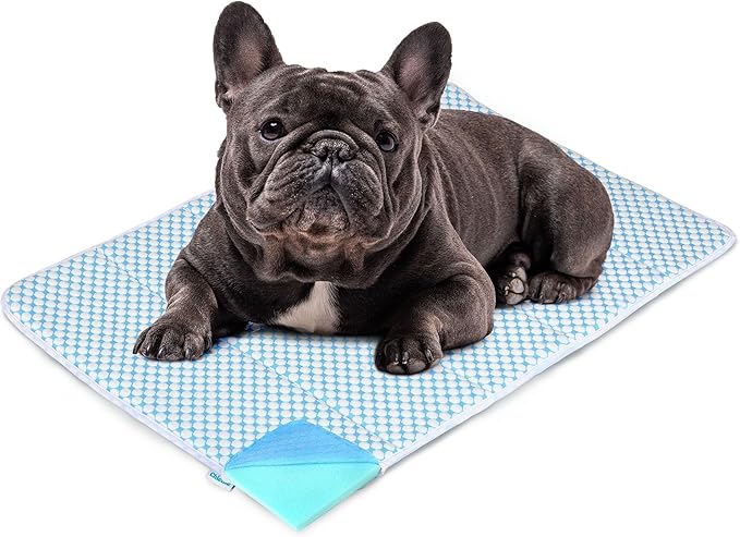Dog Cooling Mat for Medium Dogs - 30x20 Orthopedic Memory Foam Pet Pad for Summer, QMAX>0.5, Washable Premium Comfort Crate Pad for Your Furry Companion, Blue