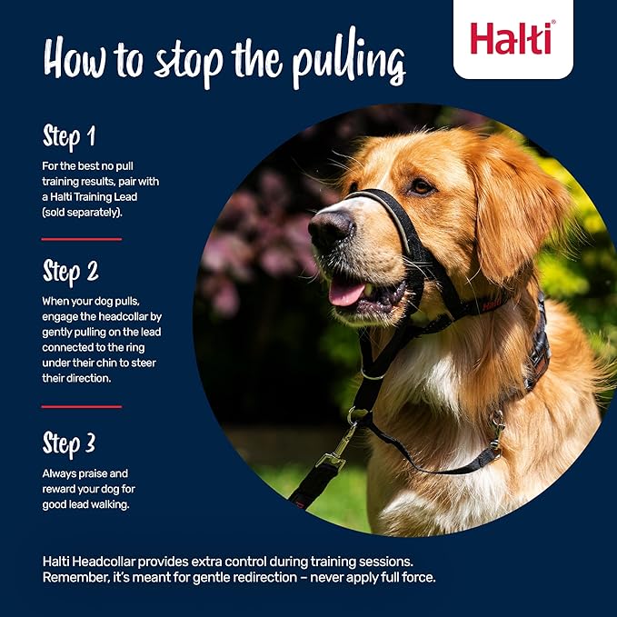 Halti Headcollar - Stop Your Dog Pulling on the Leash. Adjustable, Reflective and Lightweight, with Padded Nose Band. Dog Training Anti-Pull Collar for Small Dogs (Size 1, Black)