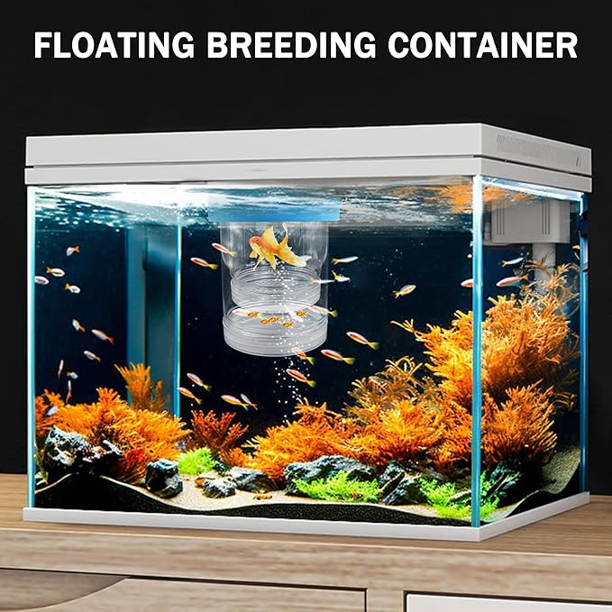 Large Floating Fish Breeding Box, Plastic Breeding Box for Fish Tank with Suction Cup, Clear Aquarium Divider Incubator, Adjustable Isolation Hatchery for Shrimp Guppy
