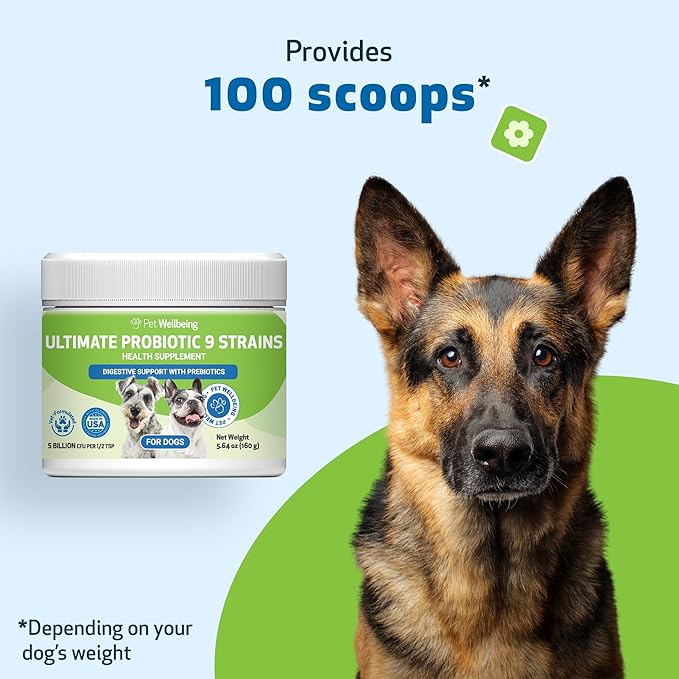 Pet Wellbeing - Ultimate Probiotic 9 Strains for Cats and Dogs - Natural Support for Digestion and Urinary Tract Health 160 Grams.
