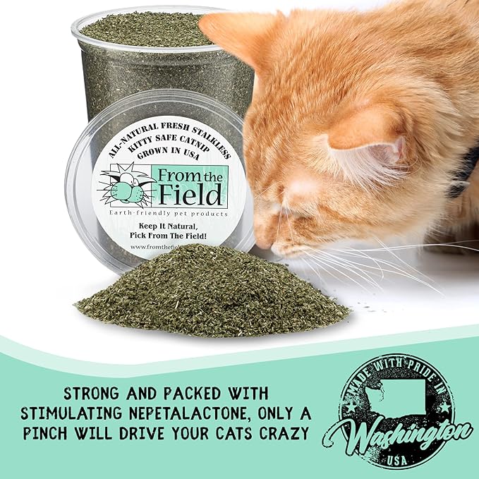 from The Field | Fine Ground Stalkless Catnip | Premium USA-Grown Catnip for Toys & Playtime | Fresh, Potent, Non-Toxic, Eco-Friendly | Safe for Kittens & Cats | Resealable 2 Oz Tub