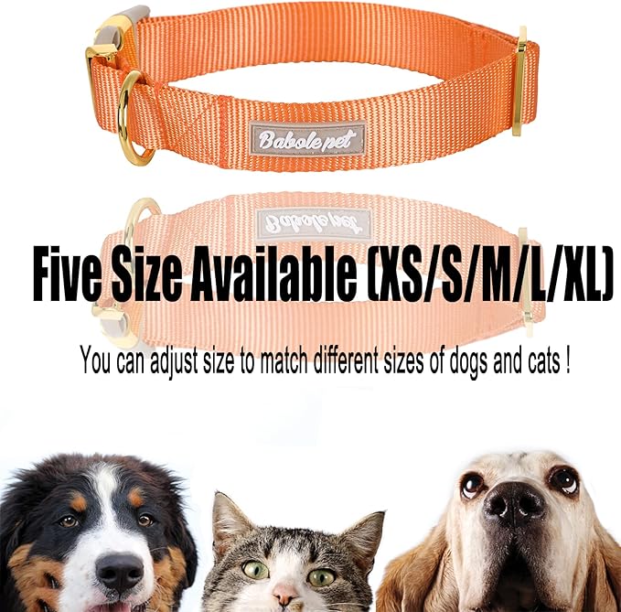 Nylon Dog Collar - Adjustable Orange Soft Webbing Dog Collars for Small Medium Large Dogs Boy Girl Puppy Collar with Safety Metal Buckle XL