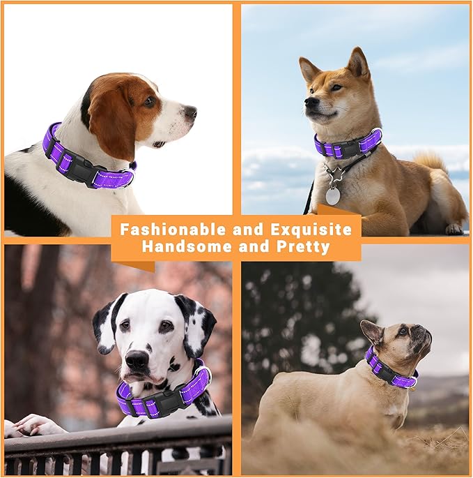 2 Pack Reflective Dog Collar with Safety Locking Buckle, Adjustable Soft Breathable Comfortable Nylon Pet Collar for Small, Medium and Large Dogs, Purple, L