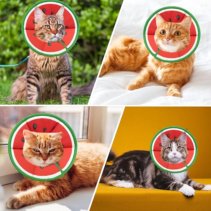 Soft Adjustable Cat Cone Collar - Comfortable Recovery Collar for Cats After Surgery (Watermelon, Medium)