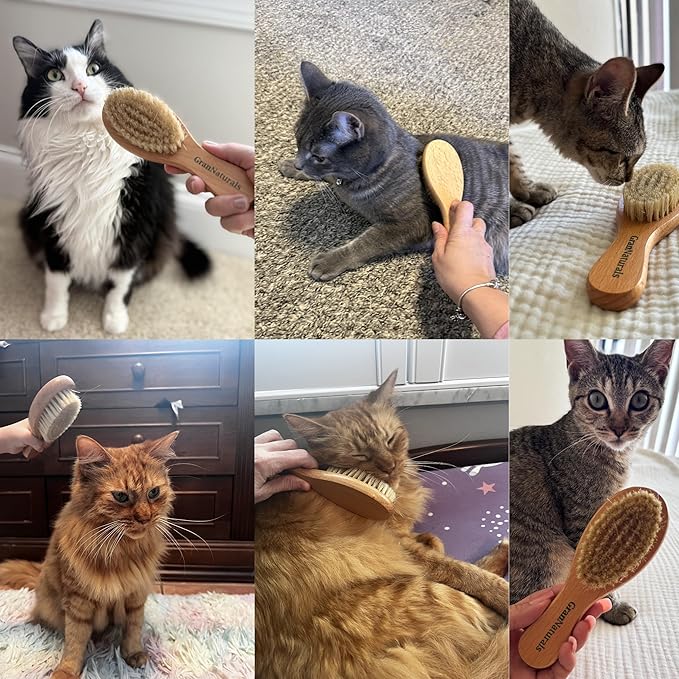 GranNaturals Boar Bristle Soft Cat Brush for Indoor, Outdoor, Short Haired Cats, Kittens, Small Dog, Rabbit, Furry Pets - Gentle Grooming on Sensitive Hair Coat & Tail with Durable Wooden Handle