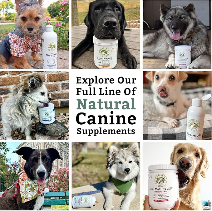 Wholistic Pet Organics Canine Complete - Dog Multivitamin Powder - 2 Lb - Daily Dog Vitamins and Supplements for Homemade Food - Immune System, Skin, Coat & Overall Health - Small and Large Breed