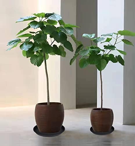 2 Pack of 10 inch Plant Saucer Gray, Heavy Duty Plastic Plant Saucer 10 inch Round, Durable Plant Tray for Pots, Plant Saucers for Indoors, Plant Trays for Planter 9"/10" (10", Black)