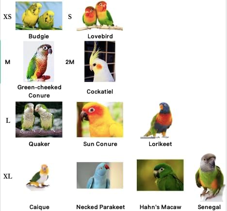 Bird Flight Harness Vest, Parrot Suit for Cockatiels Conures Budgies, Flying Clothes Rope and Handle Outdoor Activities Training