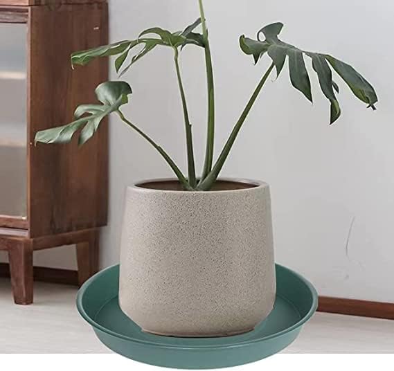 2 Pack of 8 inch Plant Saucer Clear, Heavy Duty Plastic Plant Water Tray 8 inch Round, Flower Plant Saucers for Indoors No Holes, Plant Dishes Saucer for Planter 7"/8" (8", Green)
