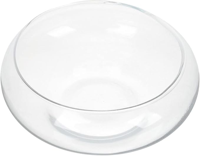 Glass Fish Bowl Clear Desktop Aquarium for Small Fish Hydroponic Plants for Home Office Decoration