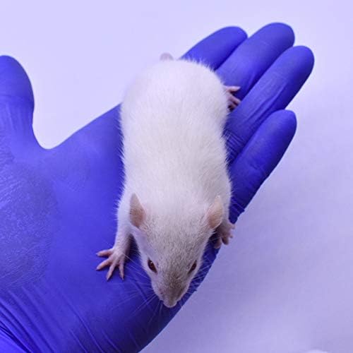 MiceDirect- 50 Rat Weanlings- Fresh Fast Frozen Food Feeders for SubAdult Ball Python Red Tail Boa Monitor Lizard Birds of Prey Pet Reptiles