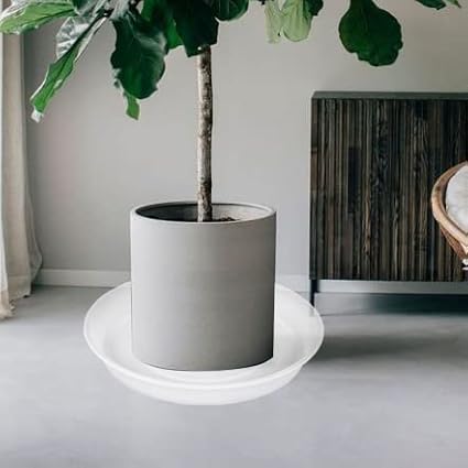 2 Pack of 8 inch Plant Saucer Clear, Heavy Duty Plastic Plant Water Tray 8 inch Round, Flower Plant Saucers for Indoors No Holes, Plant Dishes Saucer for Planter 7"/8" (8", Clear)