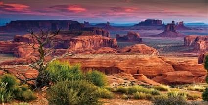24X16IN Desert Loess Rock Cactus Oasis Reptile Habitat Background, Natural Sunset Desert Themed Terrarium Background, Aquarium Background with 10 EVA Double-Sided Tape