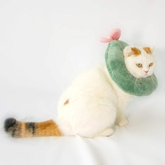 Adjustable Cat Recovery Collar Soft,Cute Pet E-Collar Neck Cone After Surgery Wound Healing Protective Cone Fit for Kitties, Small Dogs(ELC05-cactus-s)