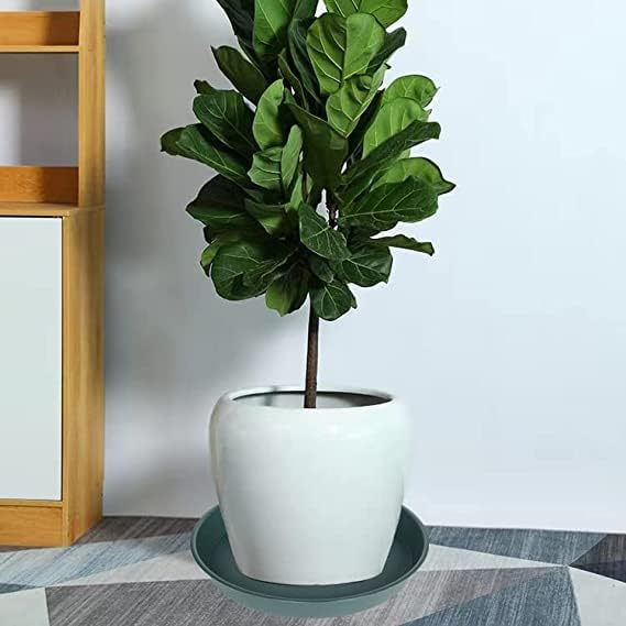 2 Pack of 8 inch Plant Saucer Clear, Heavy Duty Plastic Plant Water Tray 8 inch Round, Flower Plant Saucers for Indoors No Holes, Plant Dishes Saucer for Planter 7"/8" (8", Green)
