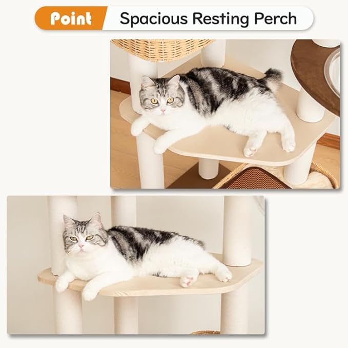 48'' Cat Tree for Large Cats, Modern Cat Tree Multi-Level Condo with Natural Wood, Cat Activity Centre for Medium and Big Pets