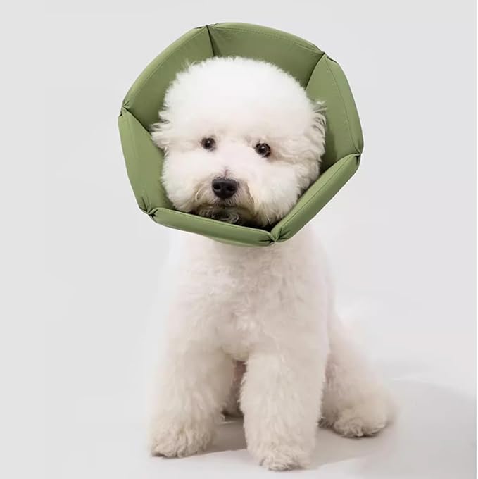Cat Cone Collar - Soft Waterproof Elizabethan for Cats, Cute Green Flower Anti-Lick Recovery Collar, Adjustable Healing Collar for Wound Care & Surgery with a pet Toy Fish，S