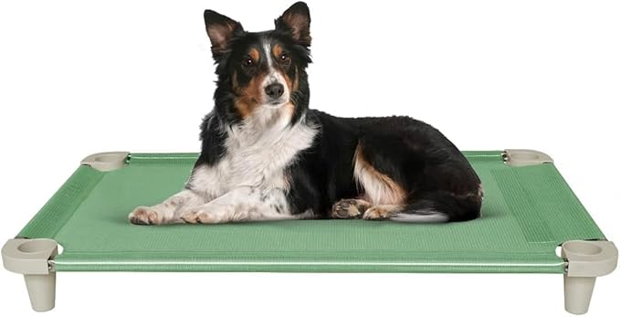 Acrimet Cooling Elevated Pet Dog Bed, Washable and Breathable Mesh Cot, Stainless Steel Frame, Indoor & Outdoor Use, fits Dogs up to 110 lbs (Size: 40” x 24”), Green, 1 Unit