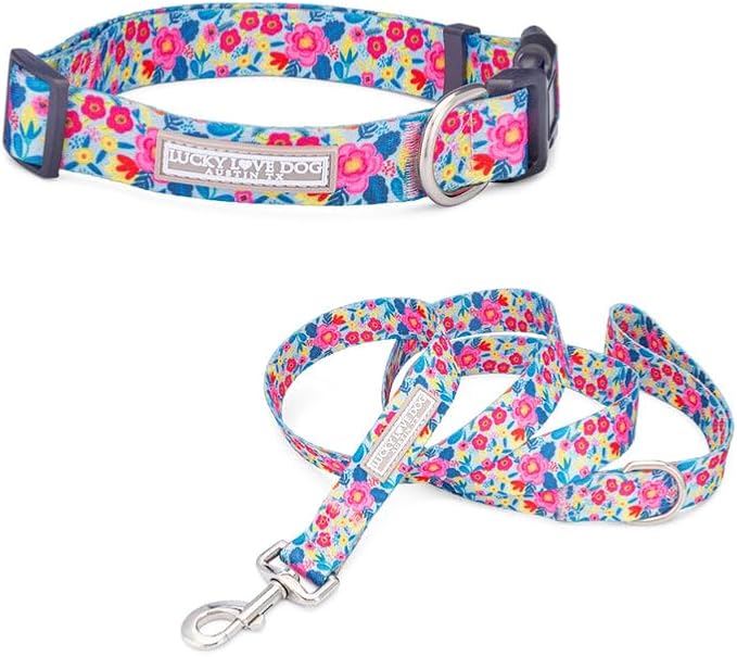 Lucky Love Dog - Adjustable Dog Collar and Leash Set with Easy Click Buckle for Large Dogs, Durable, & Comfortable Collar for Male & Female Dogs, Puppies & Adult Ones - Valentina Combo, Large