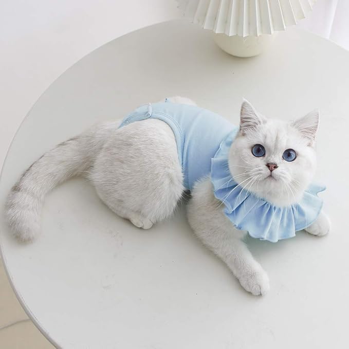 Cat Recovery Suit for Abdominal Wounds and Skin Diseases,Breathable Surgical Recovery Shirt After Surgery Wear Anti Licking Wounds,E-Collar Alternative for Female Cats Kitten(RSC01-blue-s)
