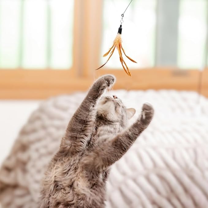 Interactive Cat Toys for Indoor Cats 2 in 1 Cat Wand Toys Solid Round Base Toys for Bored Indoor Adult Cats Self Play Feather Toy Bird Feather