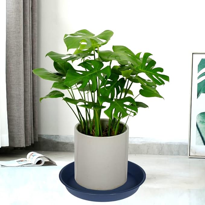 2 Pack of 10 inch Plant Saucer Gray, Heavy Duty Plastic Plant Saucer 10 inch Round, Durable Plant Tray for Pots, Plant Saucers for Indoors, Plant Trays for Planter 9"/10" (10", Blue)