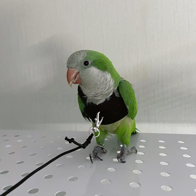 Bird Flight Harness Vest, Parrot Flight Suit with Leash for Parakeets Cockatiels Conures Budgies, Bird Flying Clothes with Rope and Handle for Outdoor Activities Training, Anti Bite (Large)
