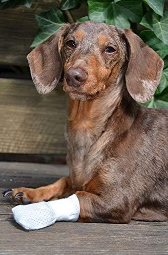 Medimitt Paw Bandages for Dogs, Cats and Pets – Stretchy Medical Booties, First Aid for Paws – Non Slip, Non Adhesive, Breathable, Disposable, Washable, Adjustable Strap, 12 Pack (Large)