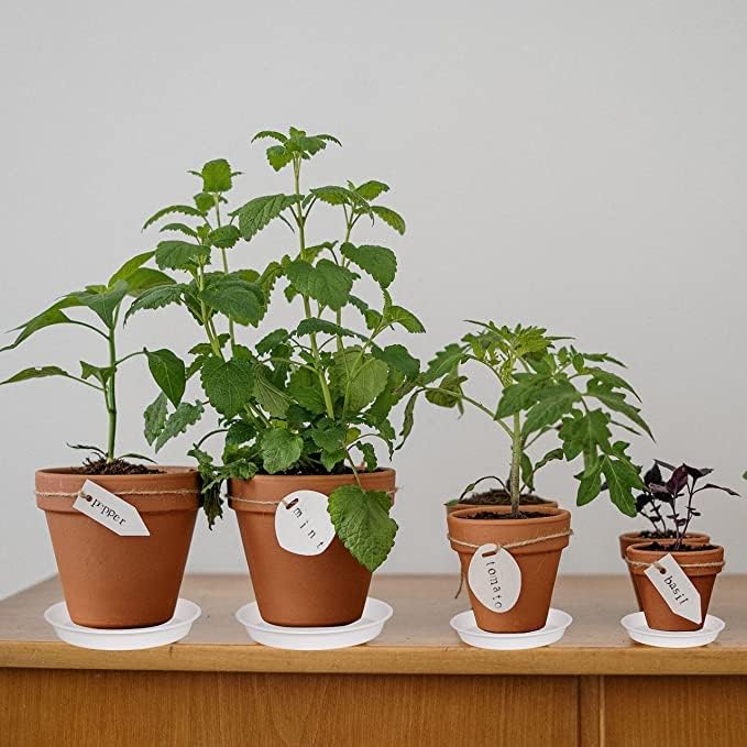 2 Pack of 10 inch Plant Saucer Gray, Heavy Duty Plastic Plant Saucer 10 inch Round, Durable Plant Tray for Pots, Plant Saucers for Indoors, Plant Trays for Planter 9"/10" (10", White)