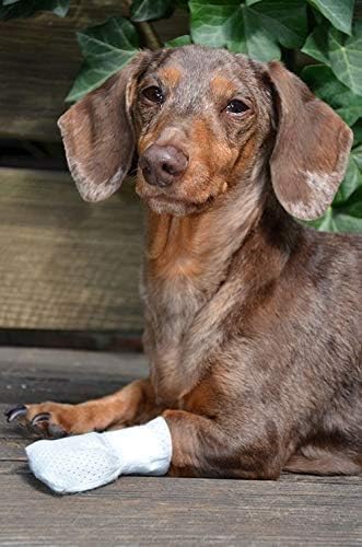 Medimitt Paw Bandages for Dogs, Cats and Pets – Stretchy Medical Booties, First Aid for Paws – Non Slip, Non Adhesive, Breathable, Disposable, Washable, Adjustable Strap, Value Pack (2XS 12-Pack)