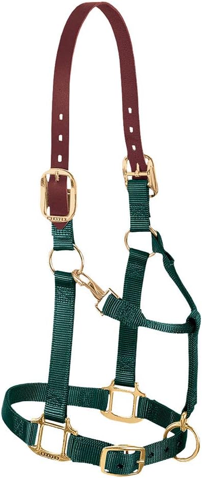 Weaver Equine Breakaway Horse Halter, Supple Leather Crown, Adjustable Chin & Throat Snap Halters for Horses, Equine Tack