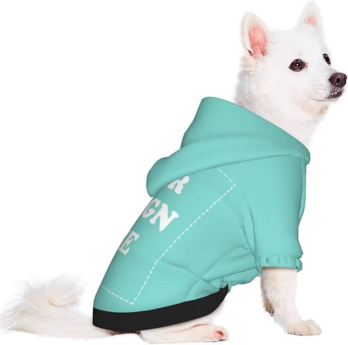 Dog Costume, Custom Dog Hoodie, Dog Name Costume Holiday Pet Pajamas Outfit, Personalized Pet Coat Costumes for Small Medium Large Dogs and Cats for Winter, Turquoise, XXS