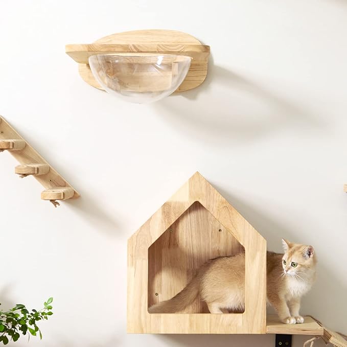 FUKUMARU Cat Wall Furniture Set, Transparent Capsule Kitten Walls Shelves with 2 PCS Pedals - Premium Kitty Bed for Sleeping, Playing, Climbing, and Lounging - Easily Holds Up to 35 Lbs