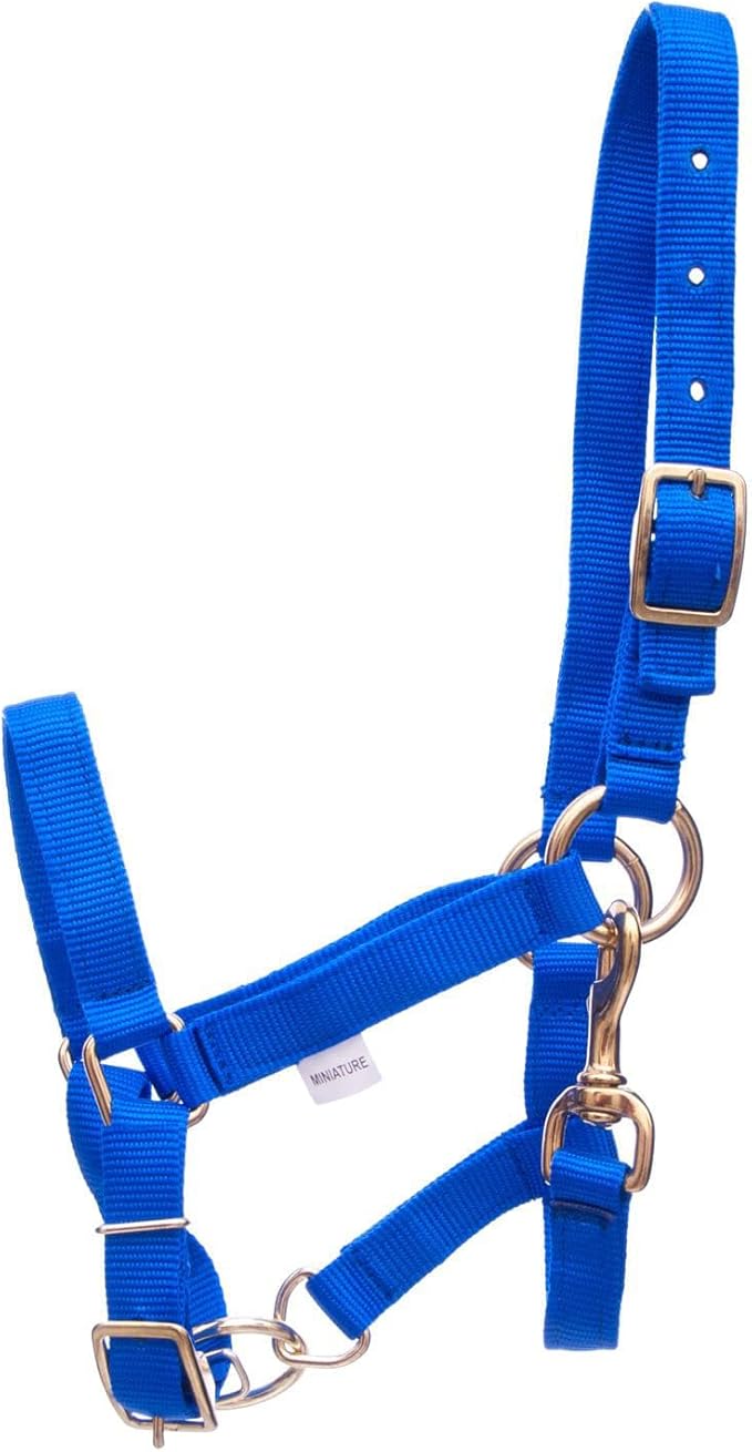 Jeffers Han Lien International 3/4" Nylon Adjustable Horse Halters