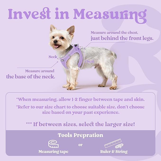 rabbitgoo Small Dog Harness, Step-in Soft Mesh Puppy Vest with Safety Buckle, Breathable Reflective Pet Harness for Extra Small Dogs, Light Purple XXS