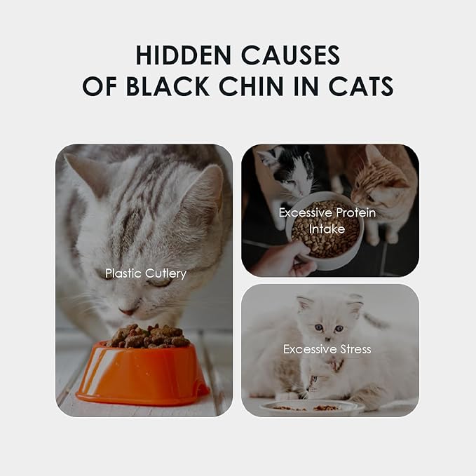 Mooncat Cat Acne Chin Treatment Oil & Cleaner - Feline Chin Acne Care for Blackheads, Kitty Acne, Cat Chin Acne Cleaner, Fast Acting, No-Rinse Ease (Wipe Off), Safe Lickable - 5 fl oz (150ml)