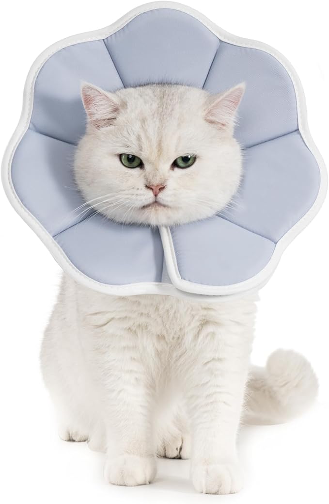 Avont Soft Cat Recovery Cone Collar, Adjustable Lightweight Kitten E-Collar for Small Dogs, Comfortable Neck Donut Stop Licking Scratching After Surgery -Grey(L)