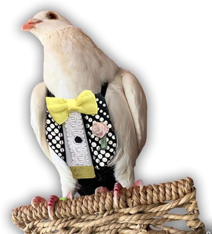 Bev's Bird Boutique Regular Flyper Adjustable Bird Diaper | Reusable, Washable Cloth | Comfort Fit for Parrot, Cockatiels, & Other Small Birds | Fashionable Avian Accessories, Retro Tux, Size 9.5