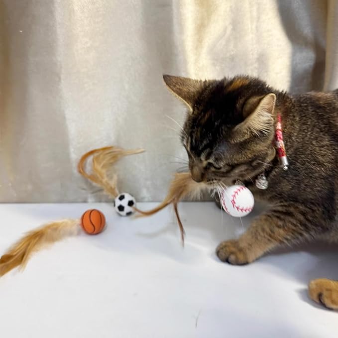 Cat Toy Balls, 5 PCS Colorful Feather Bouncy Balls for Cats No Noise Interactive Kitten Toys Cat Exercise Ball, Safe for Your Kitty (B)