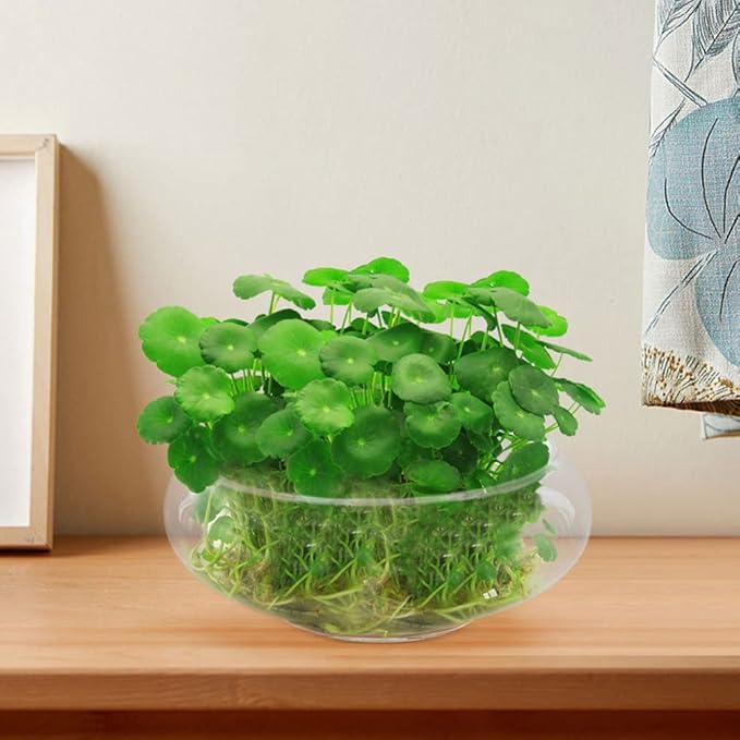 Glass Fish Bowl Clear Desktop Aquarium for Small Fish Hydroponic Plants for Home Office Decoration