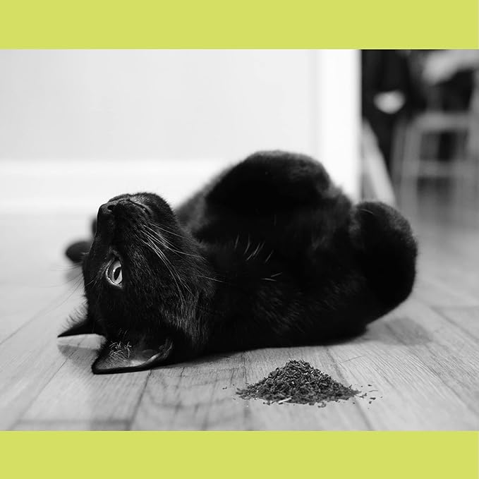 Catnip, All Natural Premium Catnip (8 oz Fine Cut)