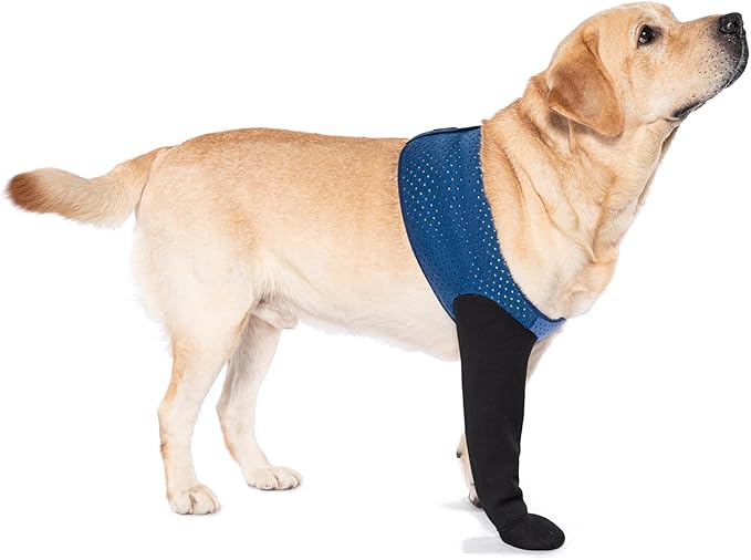 COODEO Dog Socks to Prevent Licking Paws, Healing Boots & Paw Protectors with Non-Slip Bottoms for Wound Protection, Waterproof Sleeve Shoes for Licking（Blue，XL_Right