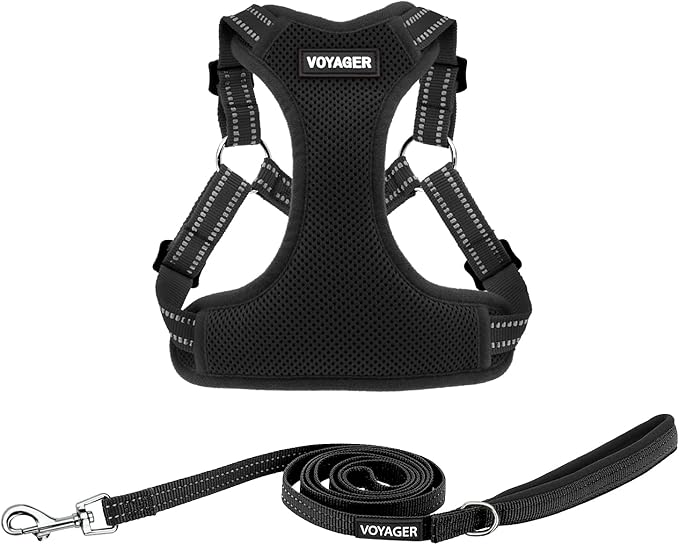 Best Pet Supplies Voyager Adjustable Step-in Flex Breathable Mesh Dog Harness for Small Medium Large Dogs Leash Set (Black), M