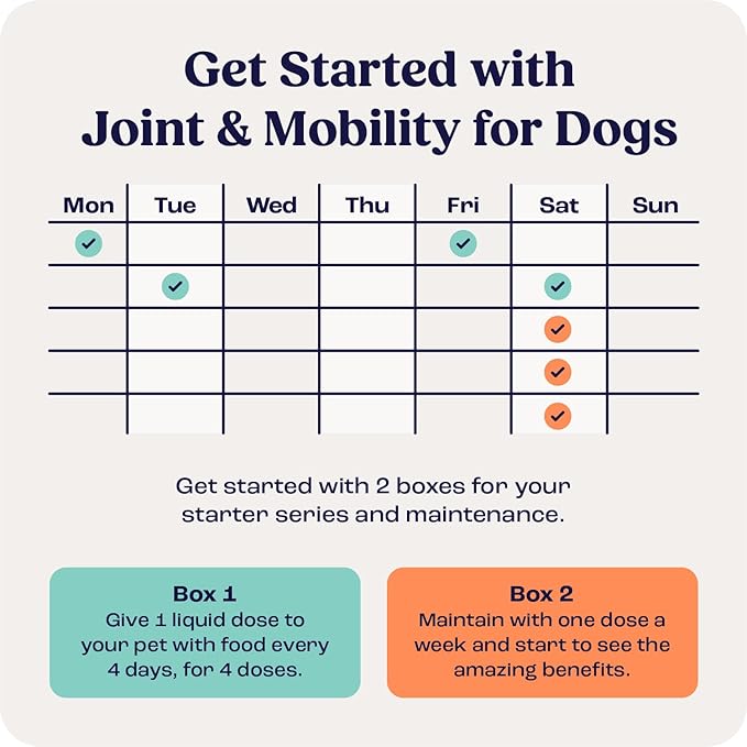 Summit Canine Joint and Mobility Supplement for Large Dogs, All Natural Liquid Chondroitin with Liposomal Delivery for Arthritis, Hip & Joint Support Vitamin, (Dogs 75+lbs)