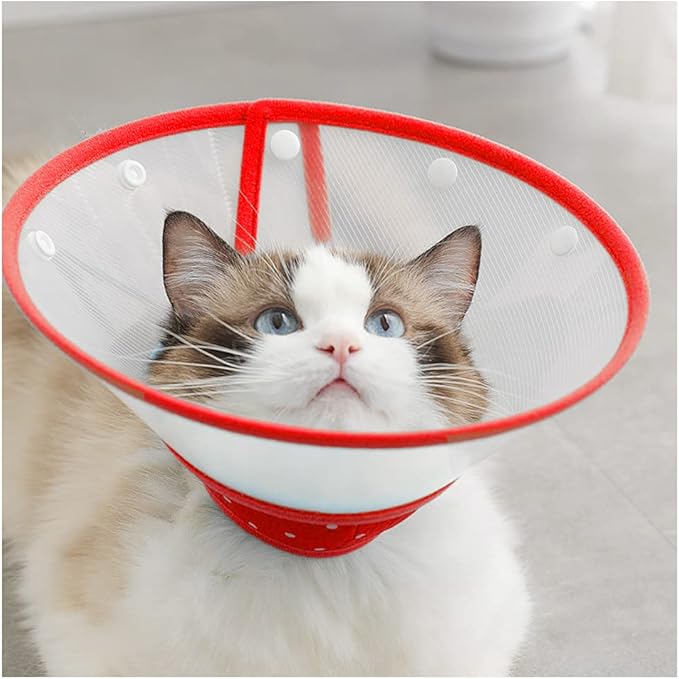 Pet Cone Recovery Dog Cone Adjustable Dog Collar Clear Padded Collar with Breathable Soft Edge, Plastic Puppy Cone Protect The Neck Surgery Recovery, Designed for Cats and Puppies (Small, Red)