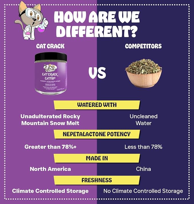 Cat Crack Catnip, Zoomie-Inducing Cat Nip Blend, North American Made & 100% Natural, Safe & Non-Addictive Catnip Treats Used to Supplement Cat Nip Toys, Spray, & Accessories (20 Cups)