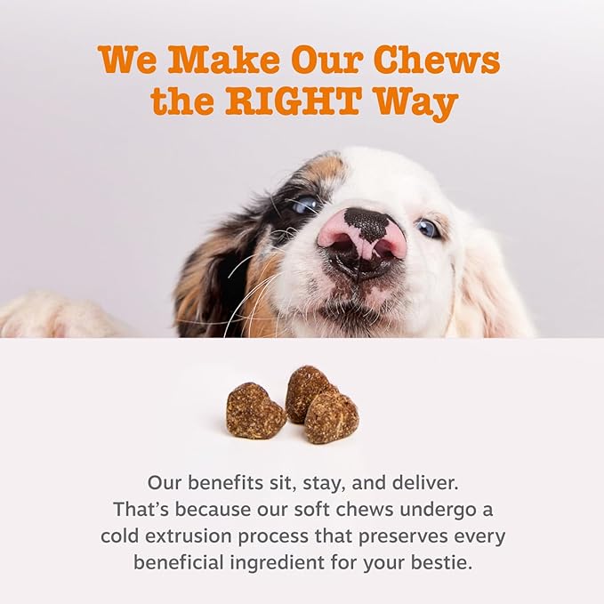 Zesty Paws Probiotics for Dogs - Digestive Enzymes for Gut Flora, Digestive Health, Diarrhea & Bowel Support - Clinically Studied DE111 - Dog Supplement Soft Chew for Pet Immune System - Pumpkin